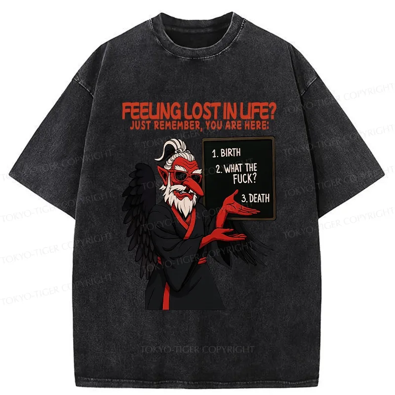 Tokyo-Tiger The Three Stages Of Life Funny Washed T-Shirt