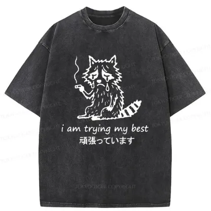 Tokyo-Tiger Raccoon Tried His Best Washed T-Shirt
