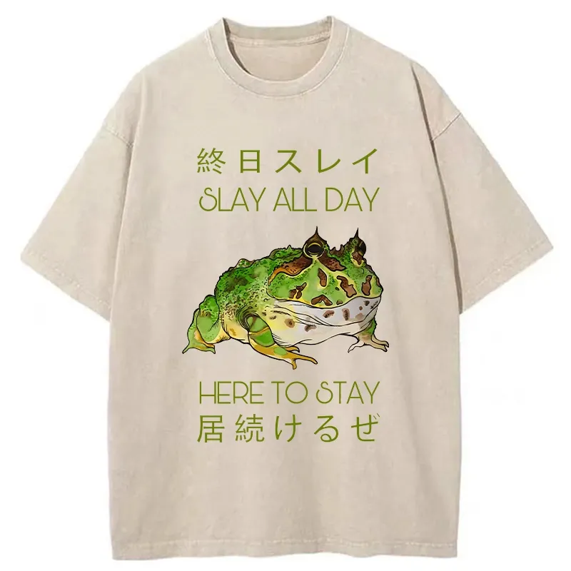 Tokyo-Tiger Slay All Day Washed T-Shirt