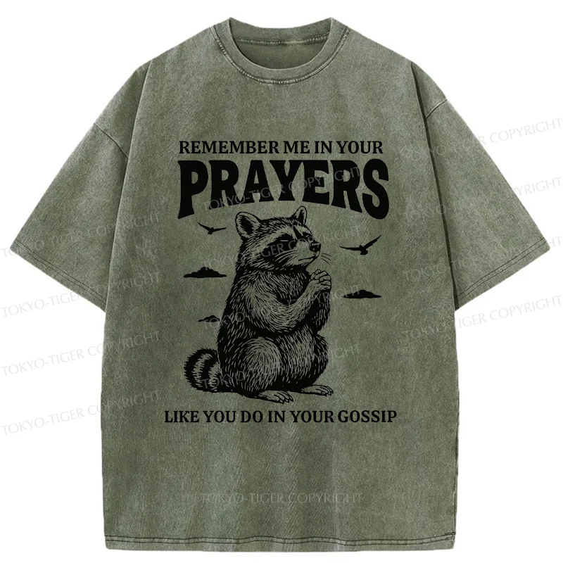 Tokyo-Tiger Raccoon Prayer Washed T-Shirt