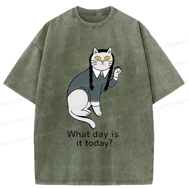 Tokyo-Tiger Cat Girl Funny Washed T-Shirt