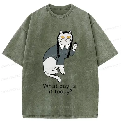 Tokyo-Tiger Cat Girl Funny Washed T-Shirt
