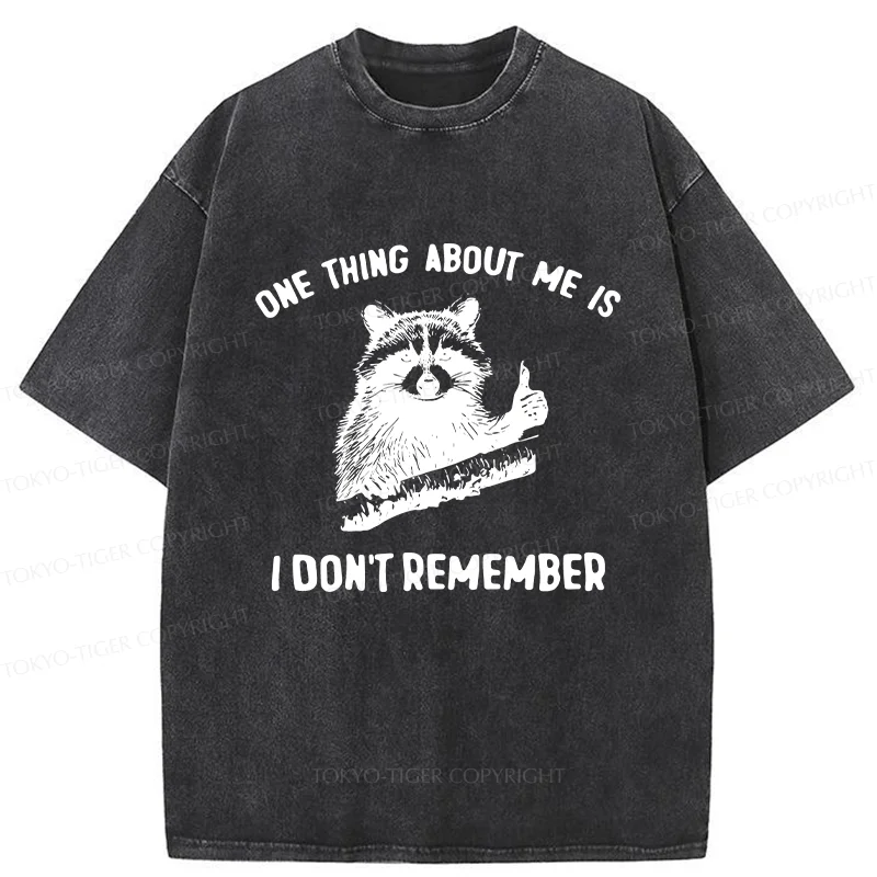 Tokyo-Tiger Amnesiac Raccoon Washed T-Shirt