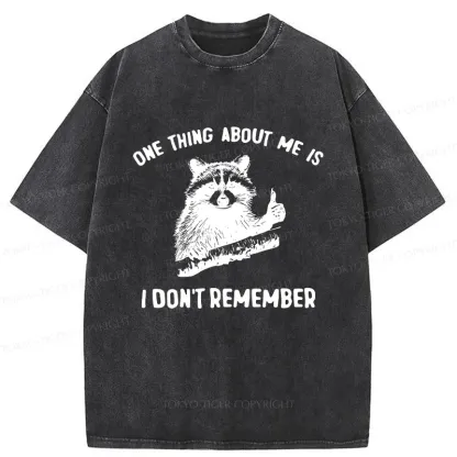 Tokyo-Tiger Amnesiac Raccoon Washed T-Shirt