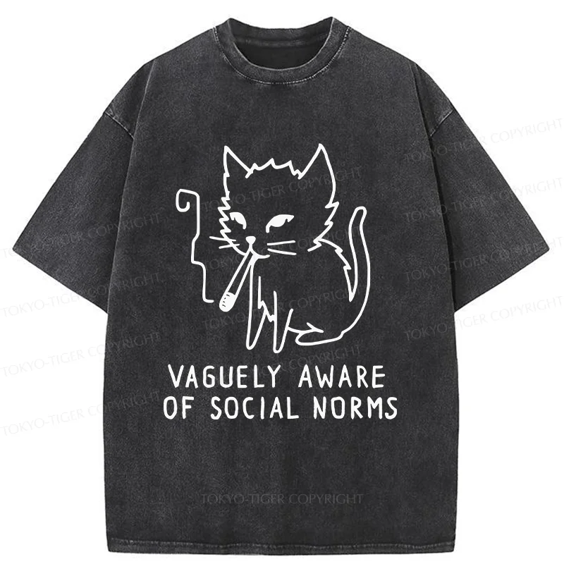 Tokyo-Tiger Uncontrolled Cat Washed T-Shirt