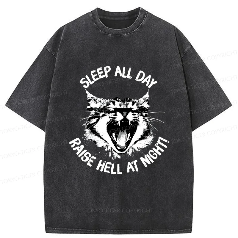 Tokyo-Tiger Cat Wreaking Havoc At Night Washed T-Shirt