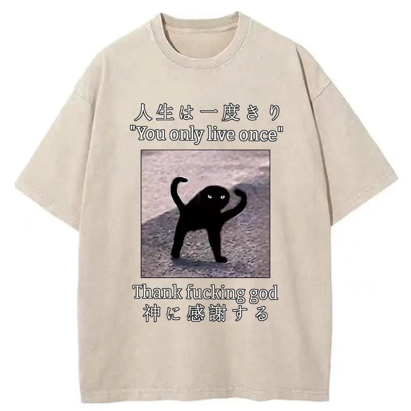 Tokyo-Tiger Funny Mysterious Cat Washed T-Shirt