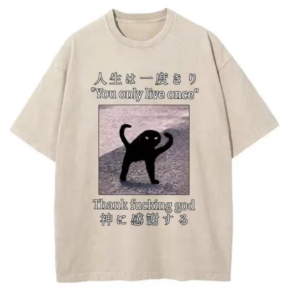 Tokyo-Tiger Funny Mysterious Cat Washed T-Shirt