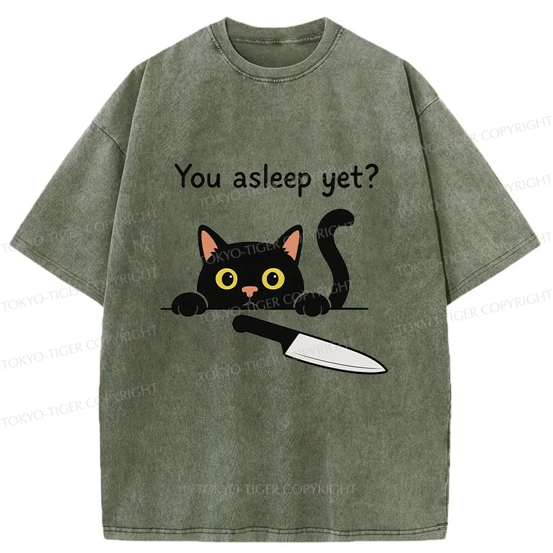 Tokyo-Tiger Cat With Murderous Intent Washed T-Shirt