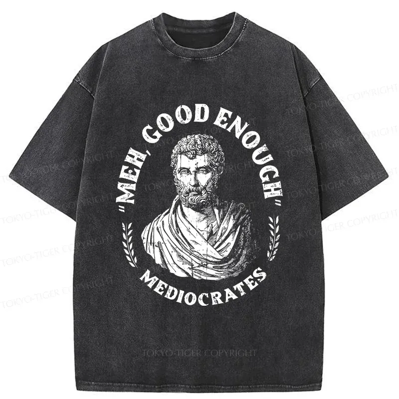 Tokyo-Tiger Socrates Funny Saying Washed T-Shirt