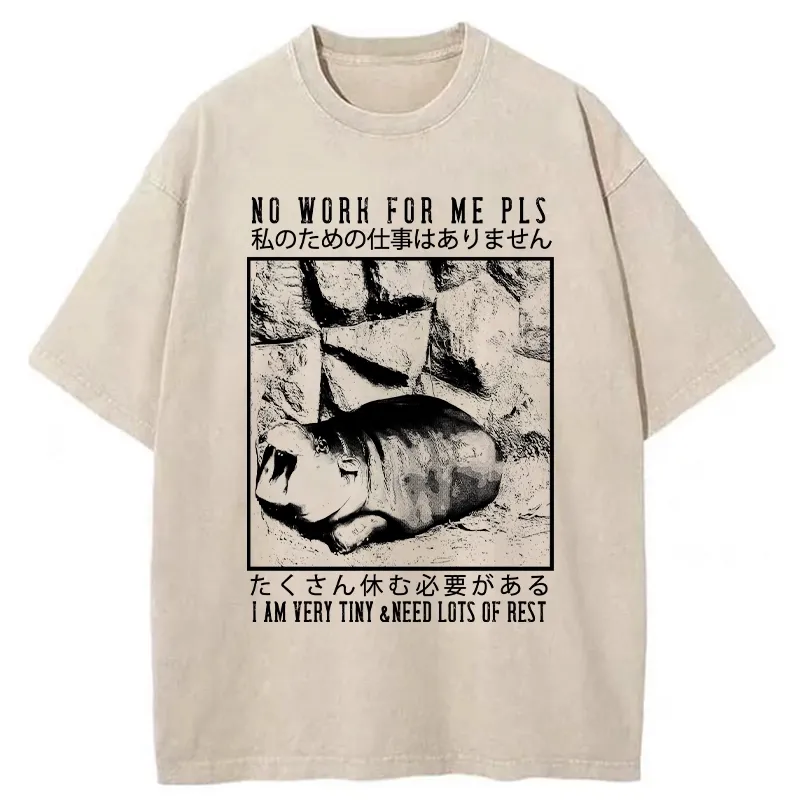 Tokyo-Tiger Funny Moo Deng Needs Lots Of Rest Washed T-Shirt