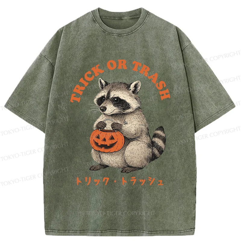 Tokyo-Tiger Halloween Raccoon Washed T-Shirt