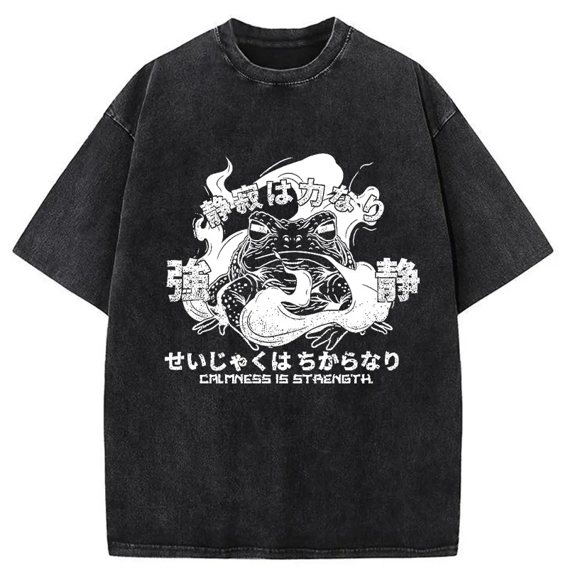 Tokyo-Tiger Calmness Is Strength Washed T-Shirt