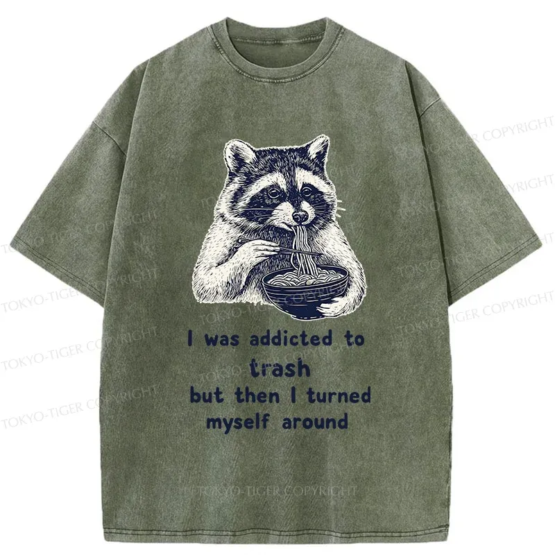 Tokyo-Tiger Raccoon Eating Ramen Japanese Washed T-Shirt