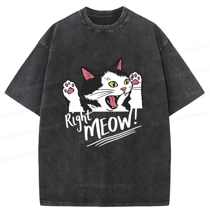 Tokyo-Tiger Right Meow Funny Washed T-Shirt