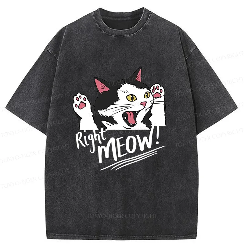 Tokyo-Tiger Right Meow Funny Washed T-Shirt