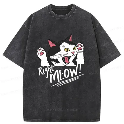 Tokyo-Tiger Right Meow Funny Washed T-Shirt