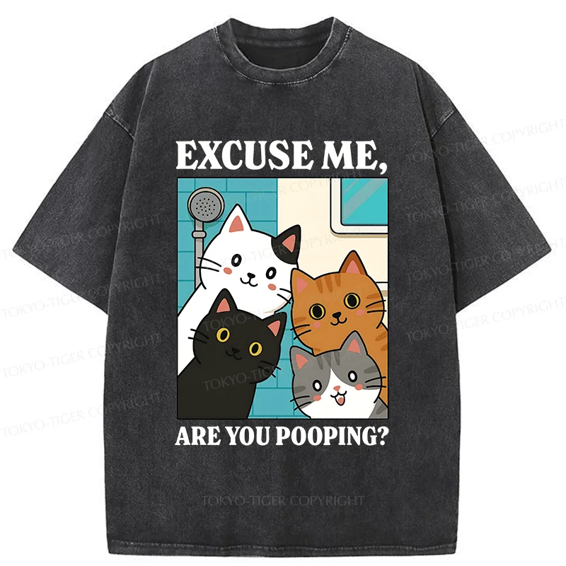 Tokyo-Tiger Cats Is Staring At You Washed T-Shirt