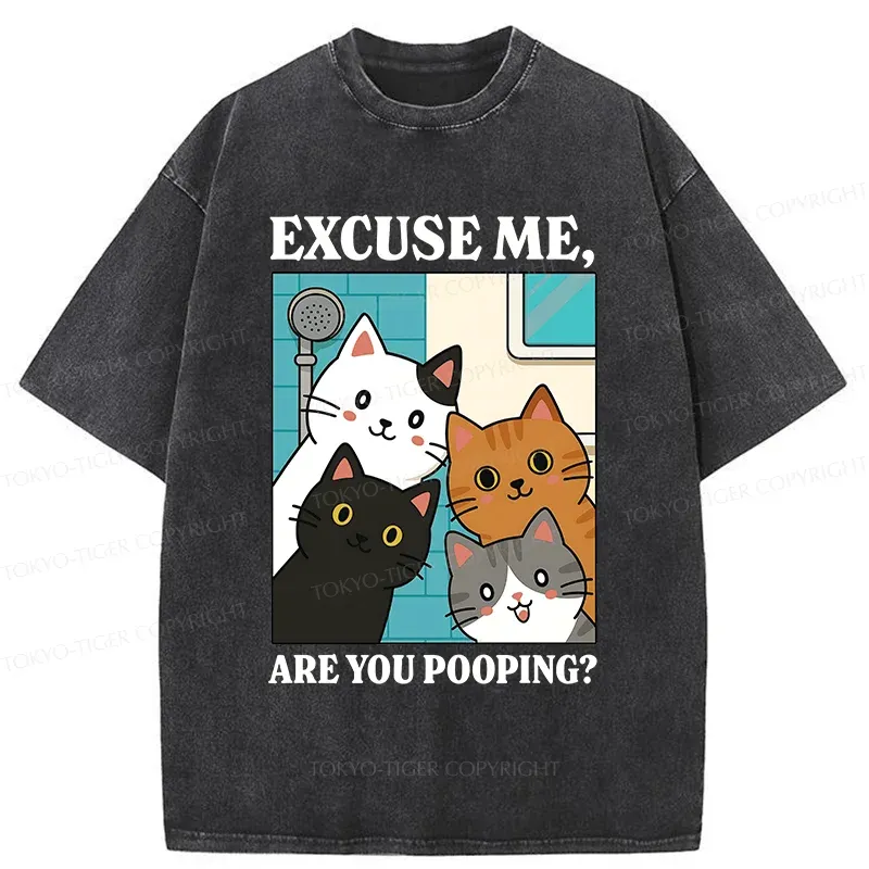 Tokyo-Tiger Cats Is Staring At You Washed T-Shirt