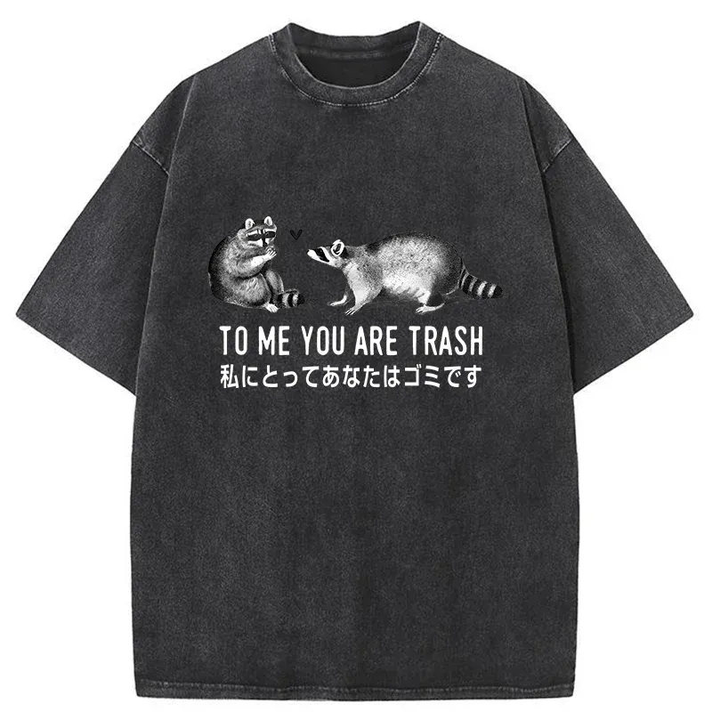 Tokyo-Tiger Raccoon Courting Washed T-Shirt