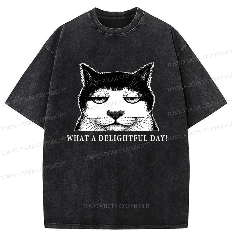 Tokyo-Tiger The World-Weary Cat Washed T-Shirt