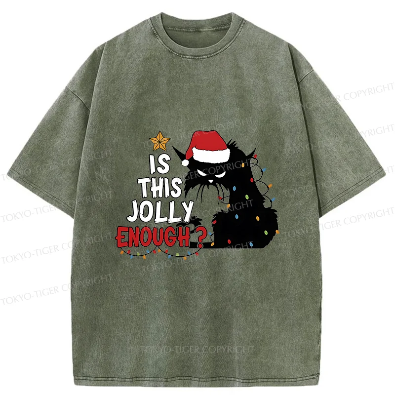 Tokyo-Tiger Grumpy Cat Christmas Washed T-Shirt