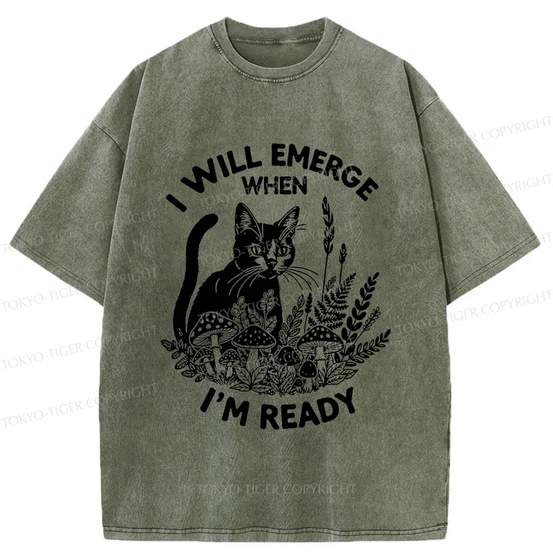Tokyo-Tiger Cat Ready To Appear Washed T-Shirt