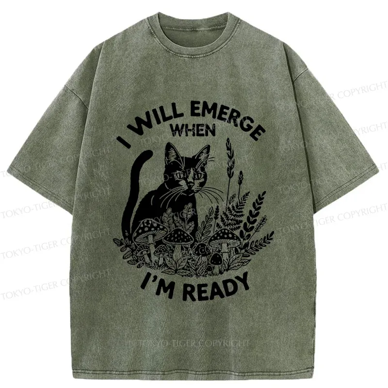 Tokyo-Tiger Cat Ready To Appear Washed T-Shirt
