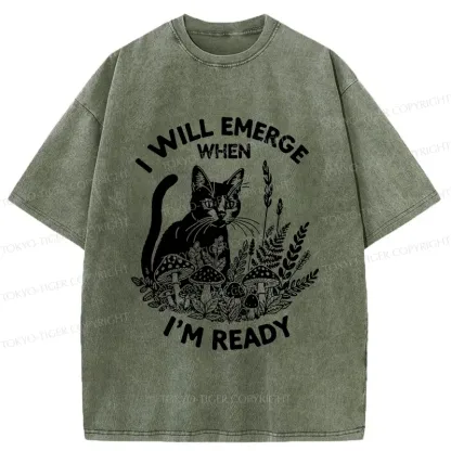 Tokyo-Tiger Cat Ready To Appear Washed T-Shirt
