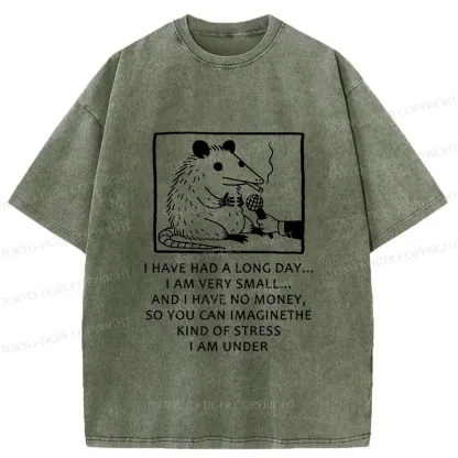 Tokyo-Tiger Contemporary Possum Interview Washed T-Shirt