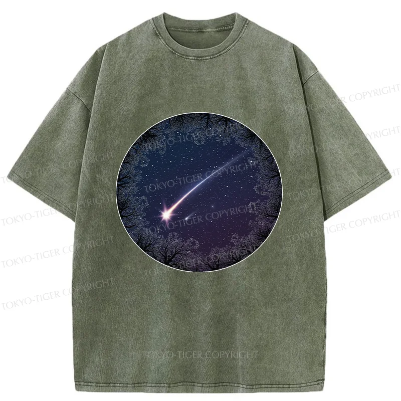 Tokyo-Tiger Beautiful Meteor Washed T-Shirt