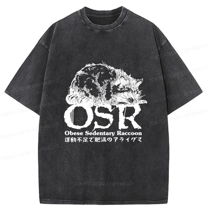 Tokyo-Tiger Fat Raccoon Washed T-Shirt