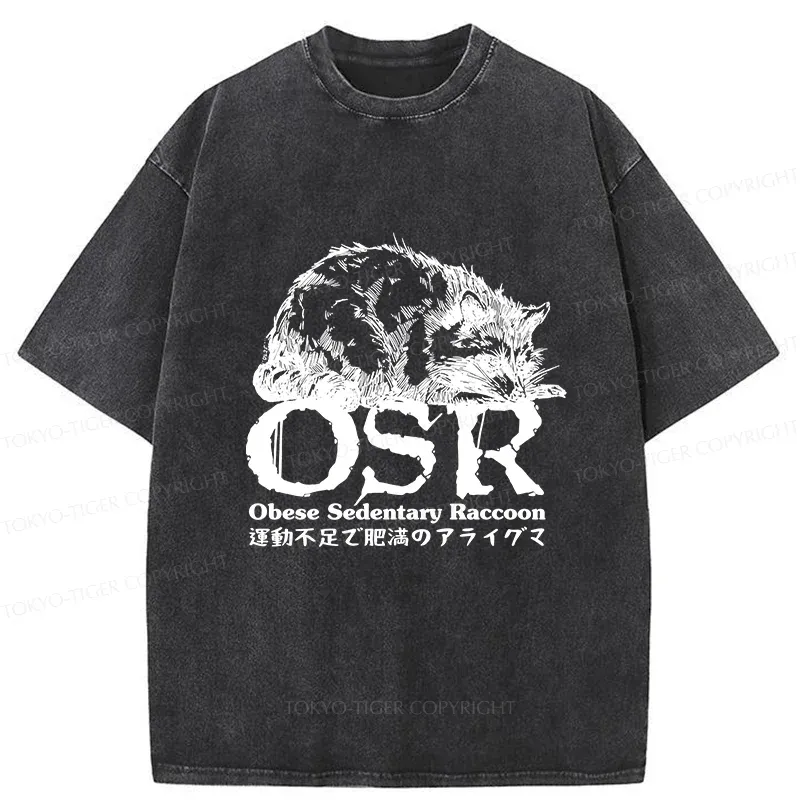 Tokyo-Tiger Fat Raccoon Washed T-Shirt