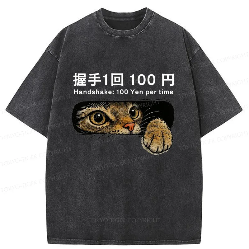 Tokyo-Tiger Shake Hands With Cat For A Fee Washed T-Shirt