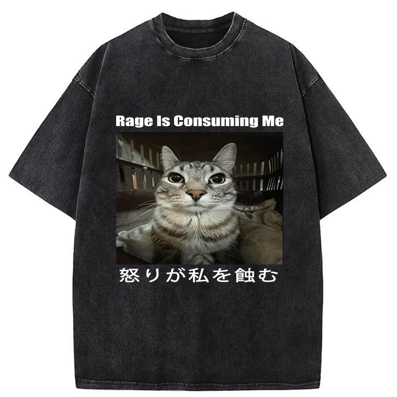 Tokyo-Tiger Rage Is Consuming Me Japan Washed T-Shirt