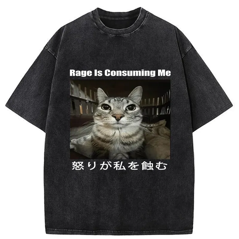 Tokyo-Tiger Rage Is Consuming Me Japan Washed T-Shirt