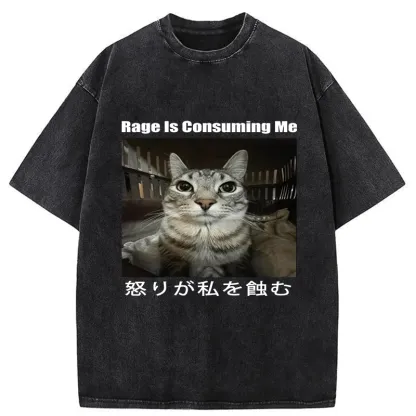 Tokyo-Tiger Rage Is Consuming Me Japan Washed T-Shirt