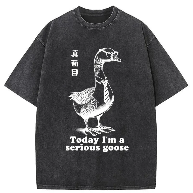 Tokyo-Tiger Serious Goose Washed T-Shirt