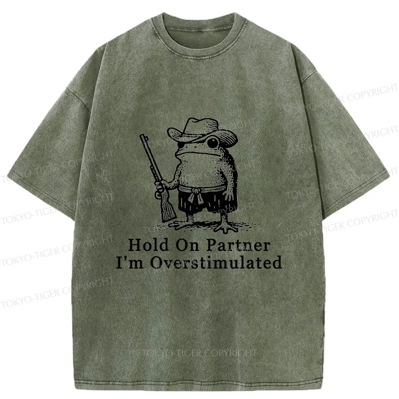 Tokyo-Tiger Handsome Frog Samurai Washed T-Shirt