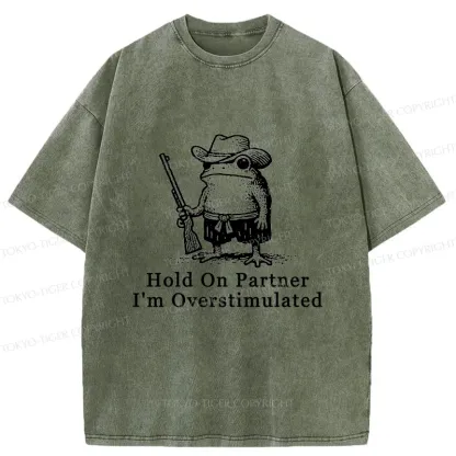 Tokyo-Tiger Handsome Frog Samurai Washed T-Shirt