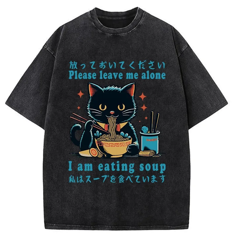 Tokyo-Tiger Cat Enchanted By Ramen Washed T-Shirt