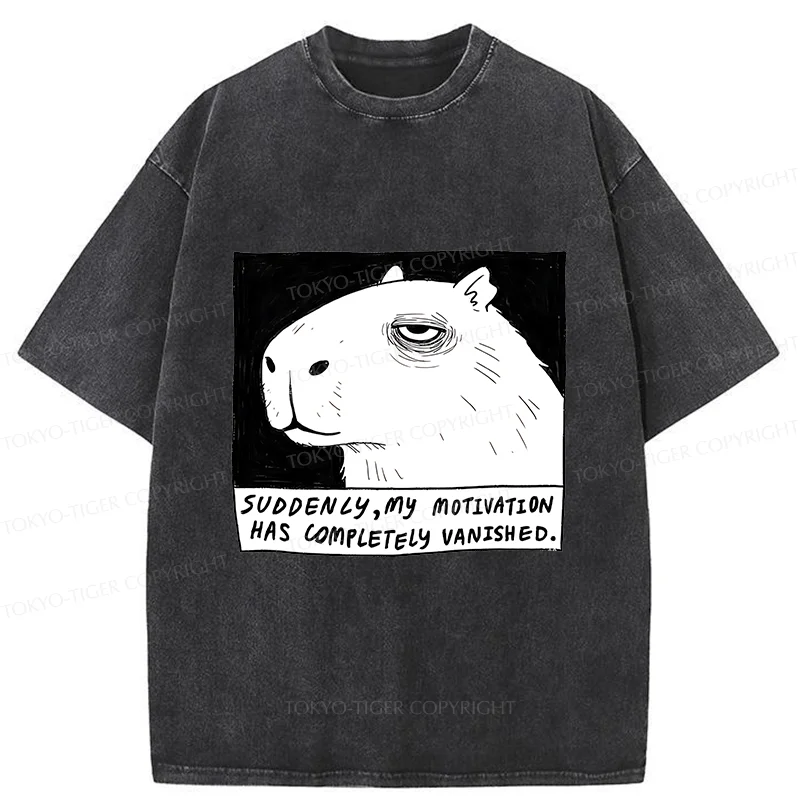 Tokyo-Tiger Power Has Completely Disappeared Washed T-Shirt