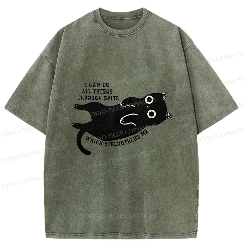 Tokyo-Tiger Cat Can Do All Things Spite Washed T-Shirt