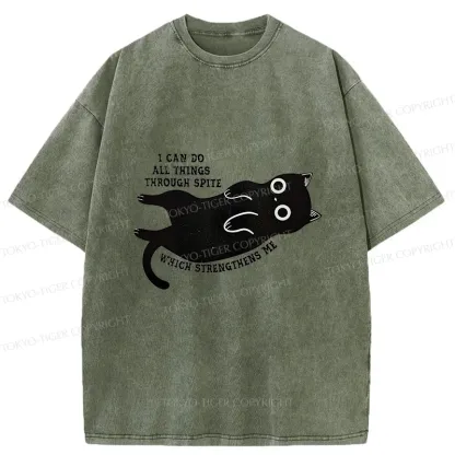 Tokyo-Tiger Cat Can Do All Things Spite Washed T-Shirt