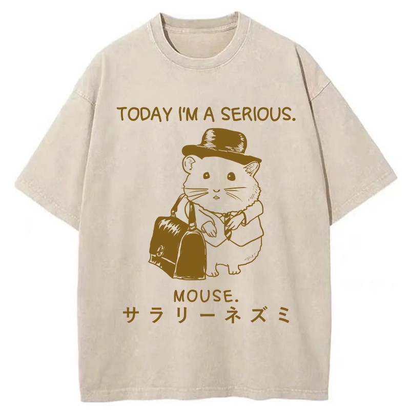 Tokyo-Tiger Today I'm A Serious Washed T-Shirt