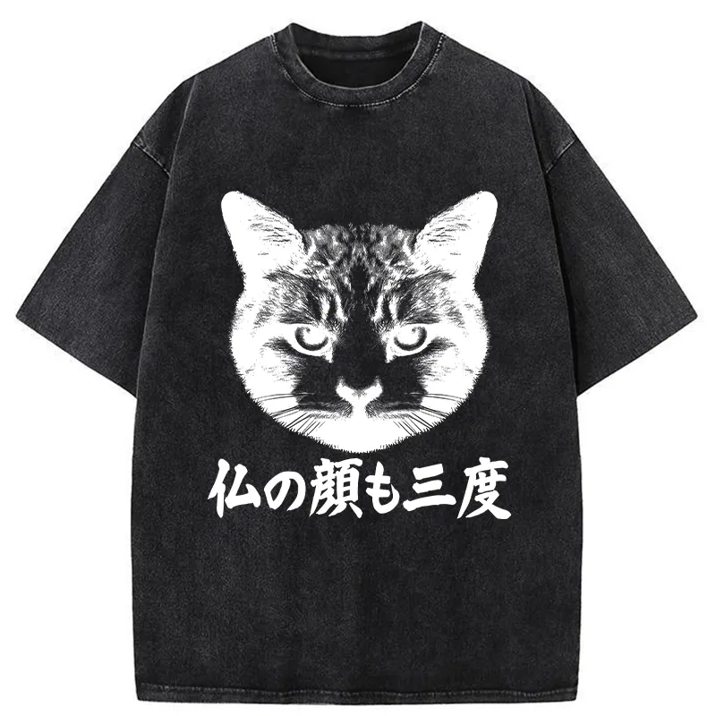 Tokyo-Tiger Cat Hits After Three Messes Washed T-Shirt