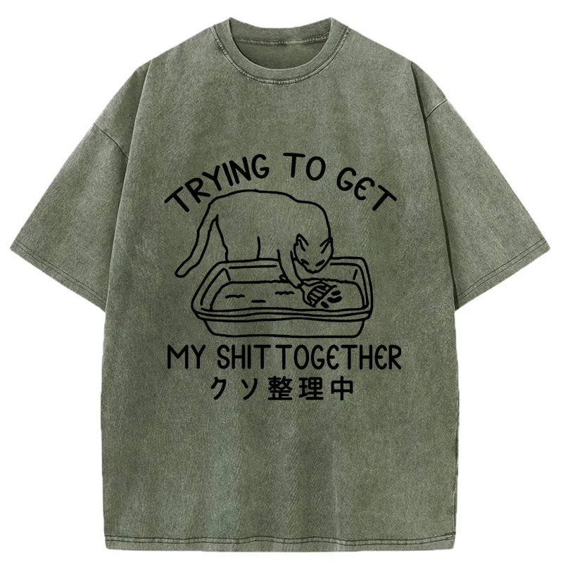 Tokyo-Tiger Cat Cleaning The Toilet Washed T-Shirt