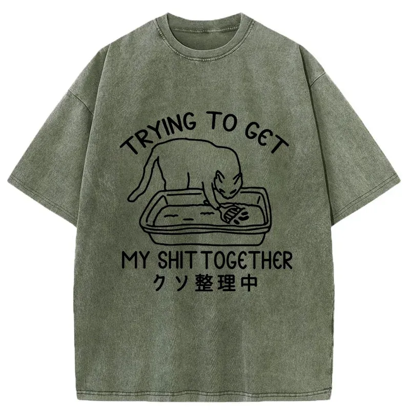 Tokyo-Tiger Cat Cleaning The Toilet Washed T-Shirt