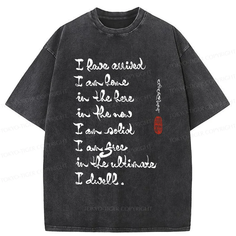 Tokyo-Tiger Zen Sayings Washed T-Shirt