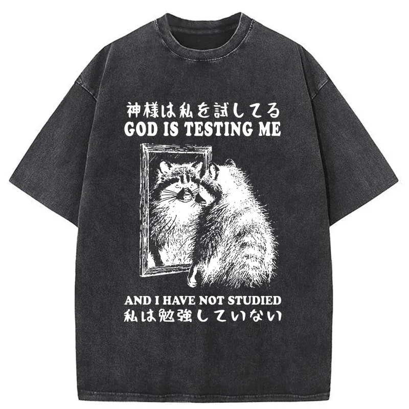 Tokyo-Tiger Raccoon Not Studied Washed T-Shirt